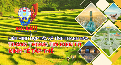Thông báo Kết luận của đồng chí Nguyễn Hồng Phong Phó Bí thư Thường trực Tỉnh ủy, Chủ tịch HĐND tỉnh tại buổi làm việc với Ban Thường vụ Đảng ủy Liên minh Hợp tác xã tỉnh Thanh Hóa