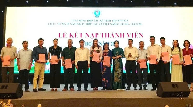 Liên minh HTX tỉnh Thanh Hóa: “Chìa khóa” nâng cao năng lực cạnh tranh cho kinh tế tập thể